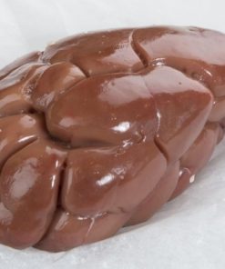 Buy Frozen Veal Kidney online