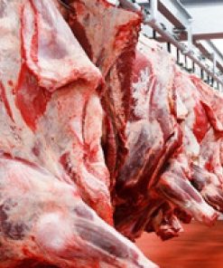 Buy HALAL Fresh-Frozen Beef whole carcass online